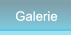 Galerie Galerie